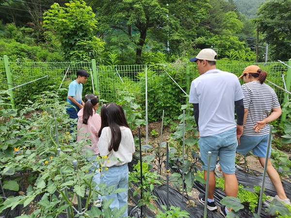 작물수확1.jpg