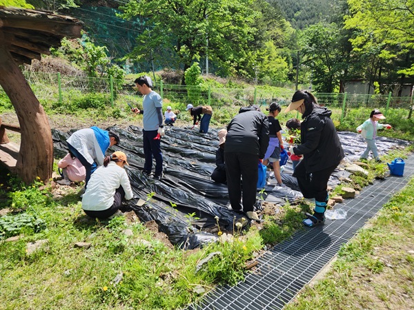 작물심기1.jpg